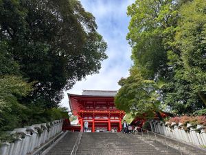 近江神宮
琵琶湖博物館
つるやパン本店