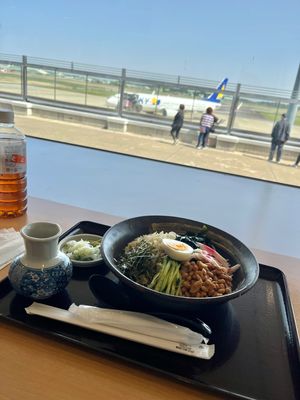 茨城空港からタイガーエア✈️