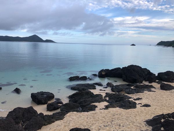 日本・奄美大島「2022 奄美大島②」の写真