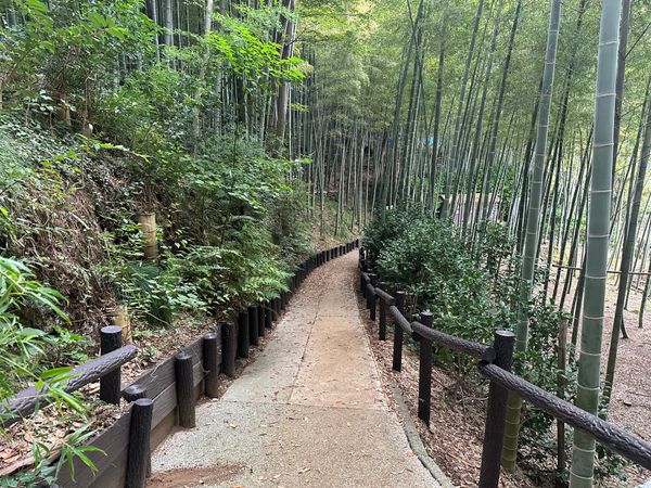 日本・神奈川県「小机城」の写真