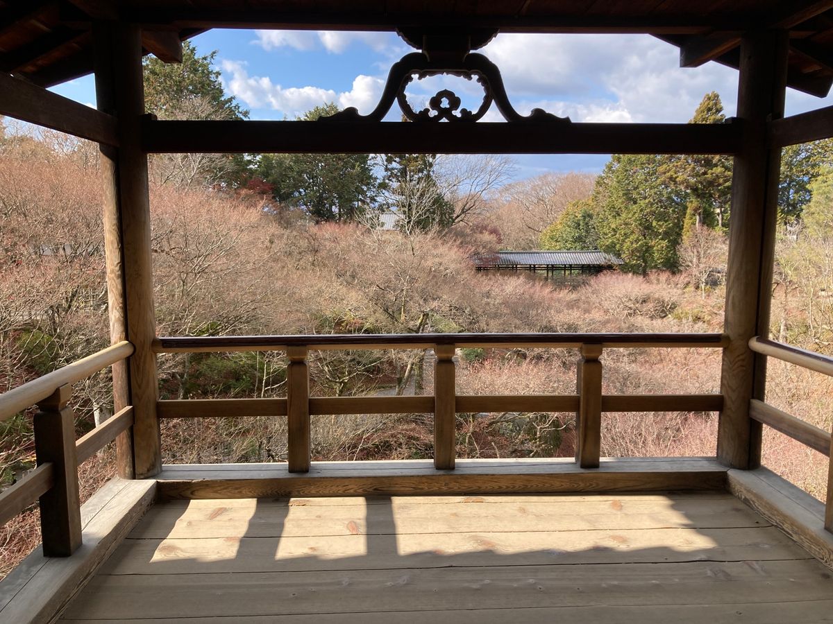 伏見稲荷、平等院、東福寺、上賀茂神社