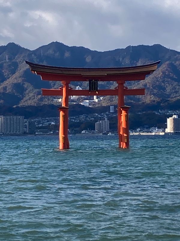 日本・広島県「202412広島出張」の写真：宮島厳島神社、うえのあなご飯