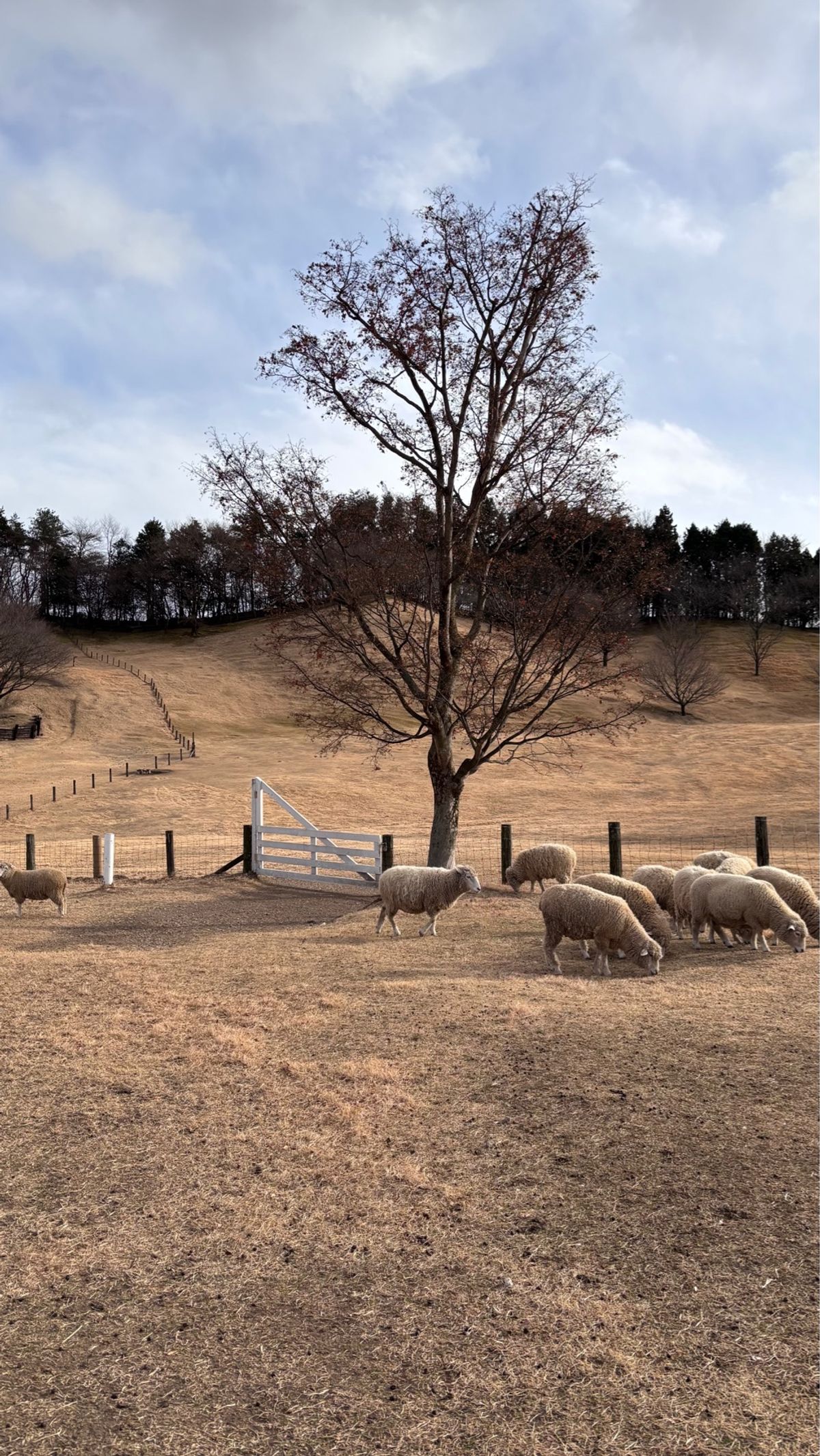 1年目草津温泉
2年目箱根温泉
3年目伊香保温泉