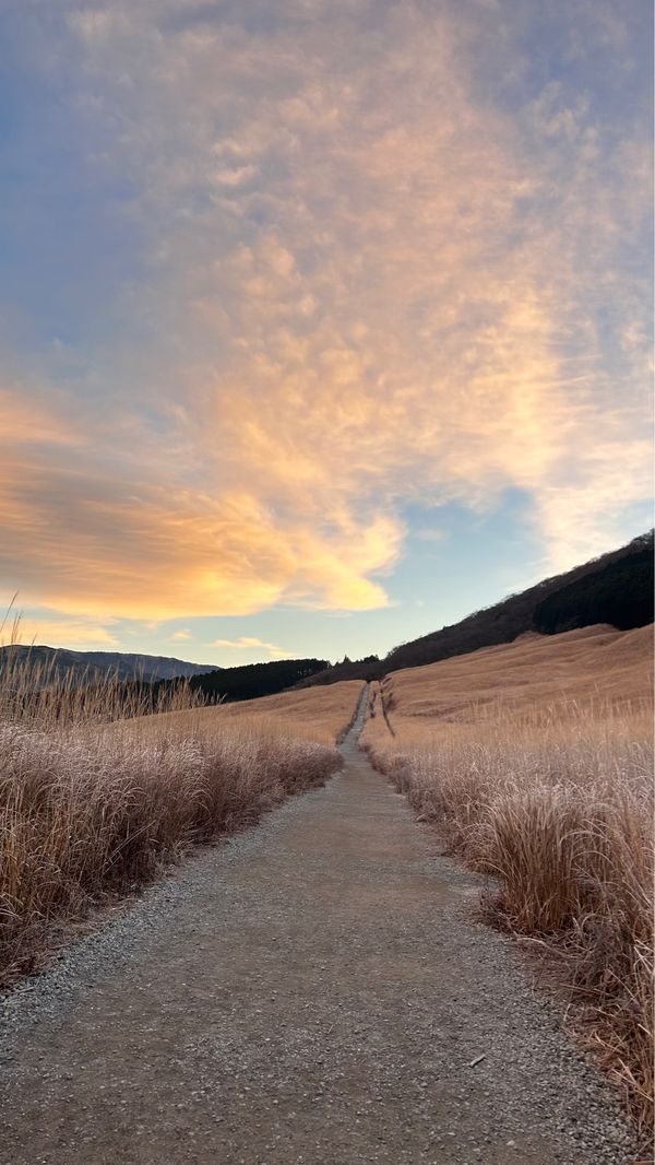 日本・神奈川県「in箱根」の写真