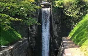 【撮影場所】福島県 郡山市 21世紀記念公園麓山の杜 

【住所】福島県郡...