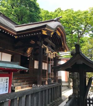 【撮影場所】福島県 郡山市 安積国造神社 

【住所】福島県郡山市清水台1...