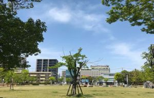 【撮影場所】福島県 郡山市 21世紀記念公園麓山の杜 

【住所】福島県郡...