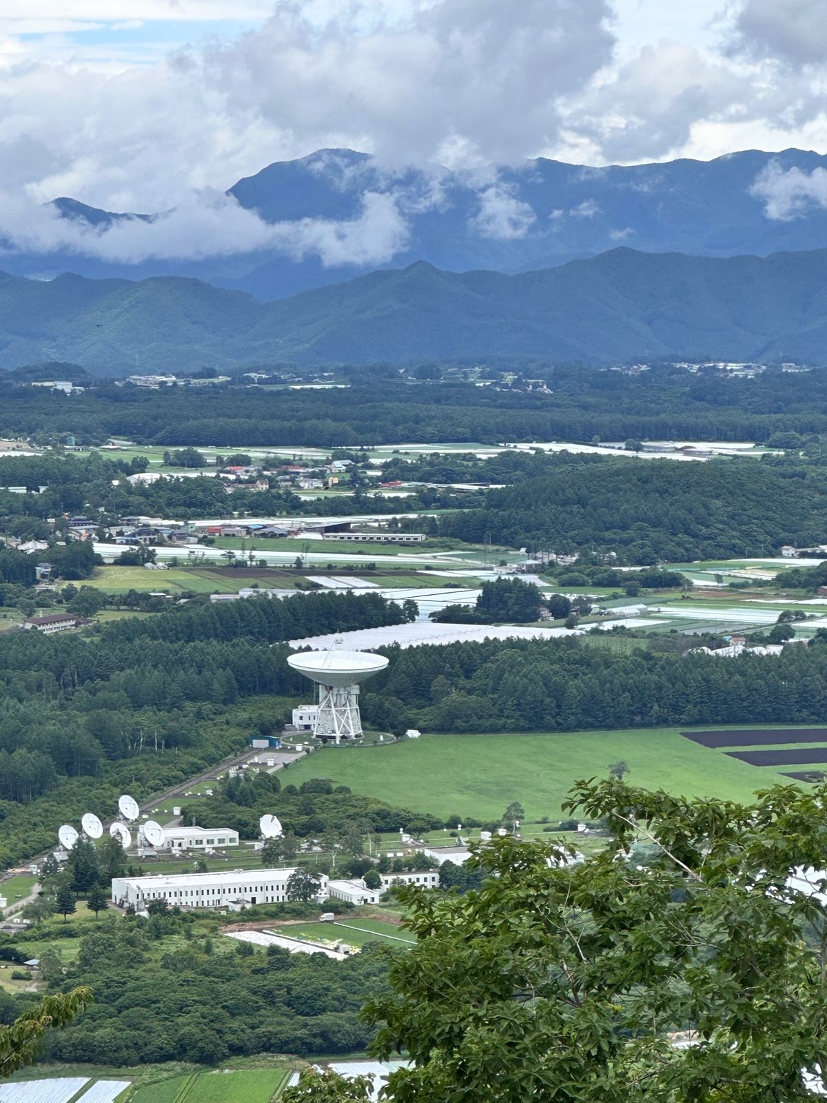 可愛いニッコウキスゲの花が沢山咲いていました。
ハイキングでお腹が空いたら...