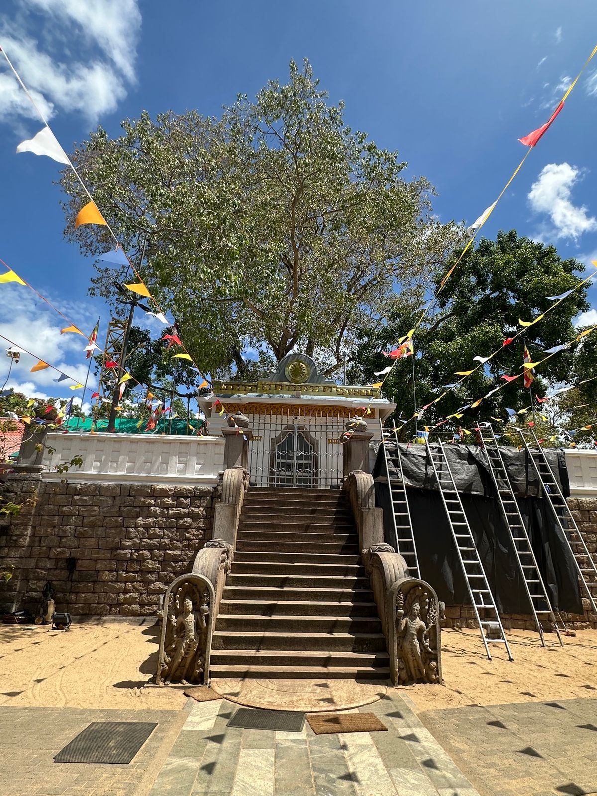 4/30
世界遺産アヌーラダプラ