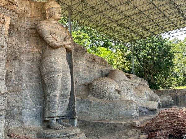 スリランカ・コロンボ「スリランカ旅行」の写真：5/1
世界遺産ポロンナルワとシギリヤロ...