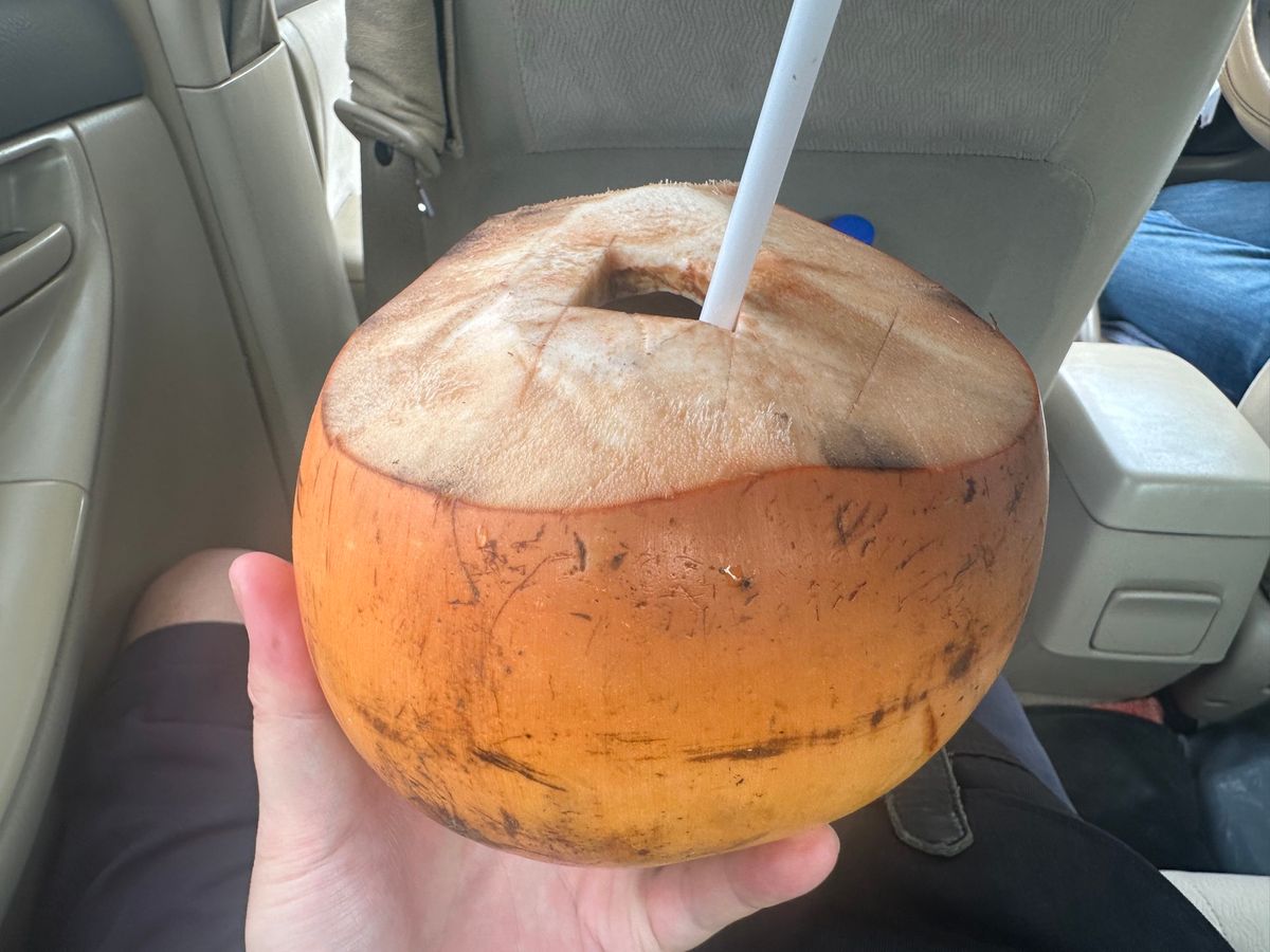 5/1
ホテル朝食、ビュッフェ昼食、サモサ
キングココナッツはスリランカ名産