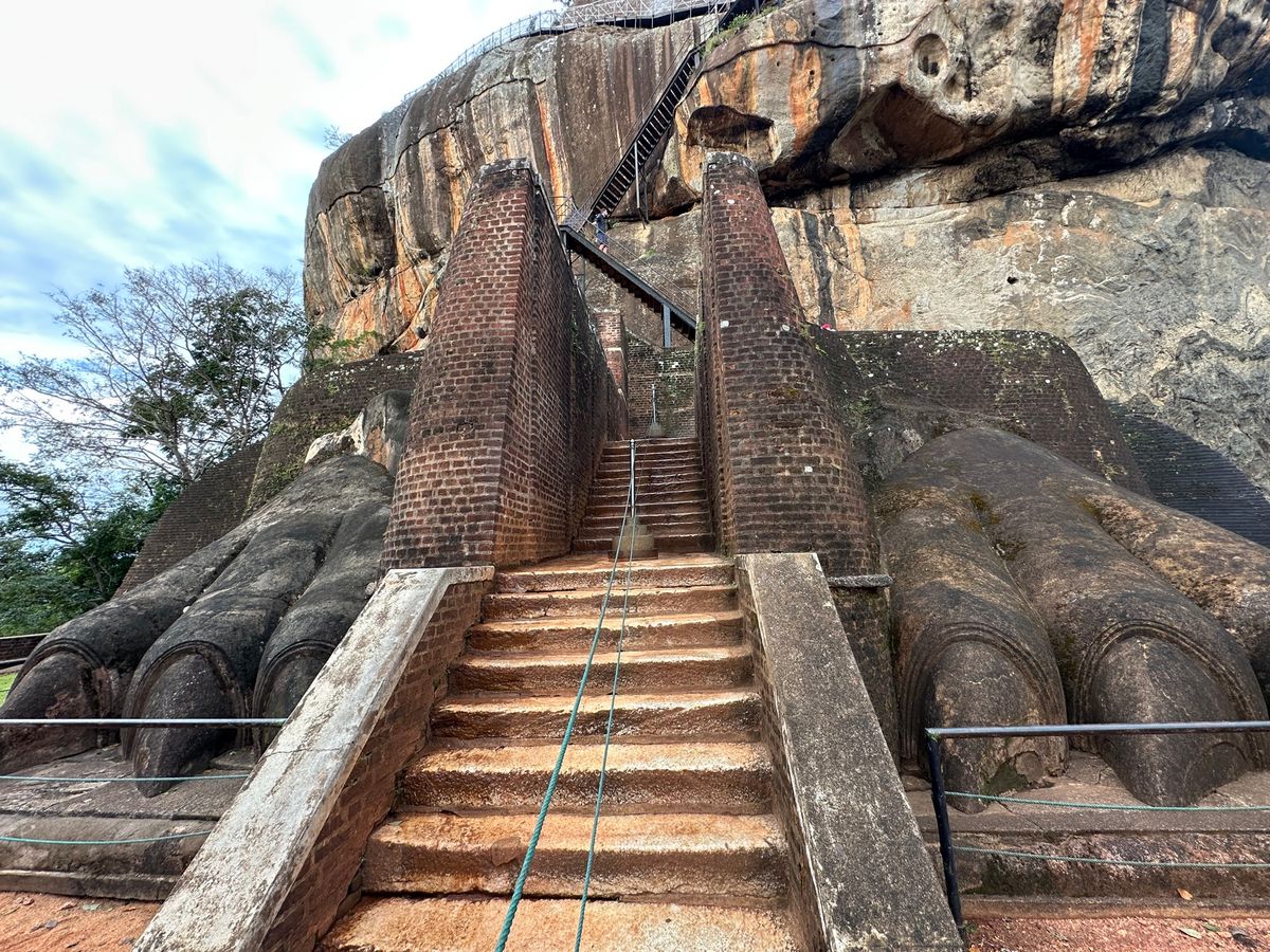 5/1
世界遺産ポロンナルワとシギリヤロック
野生ゾウも