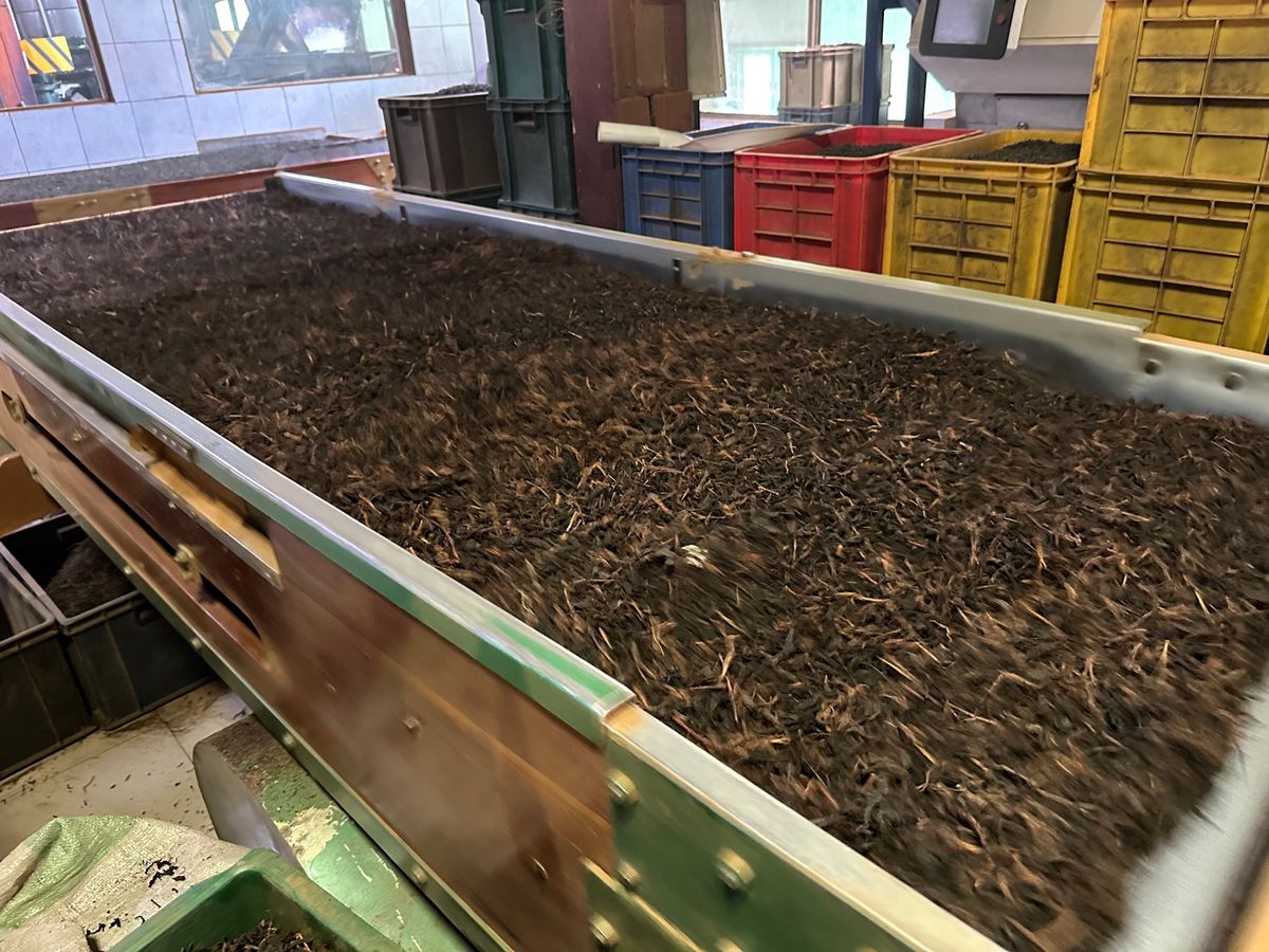 5/3
世界遺産ゴール旧市街
紅茶工場