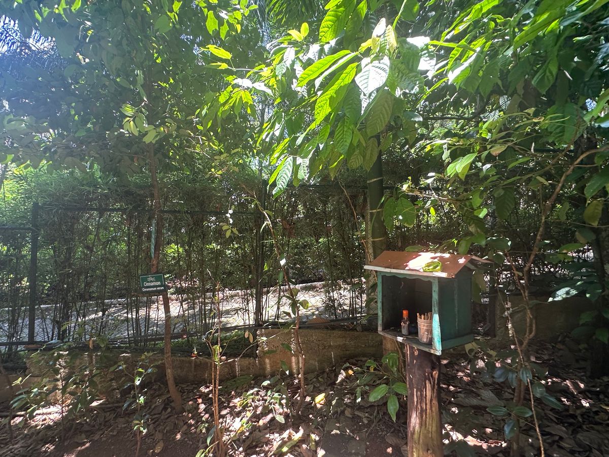 5/2
ピドゥンガラロックからの世界遺産シギリヤロック
ダンブッラ石窟寺院...