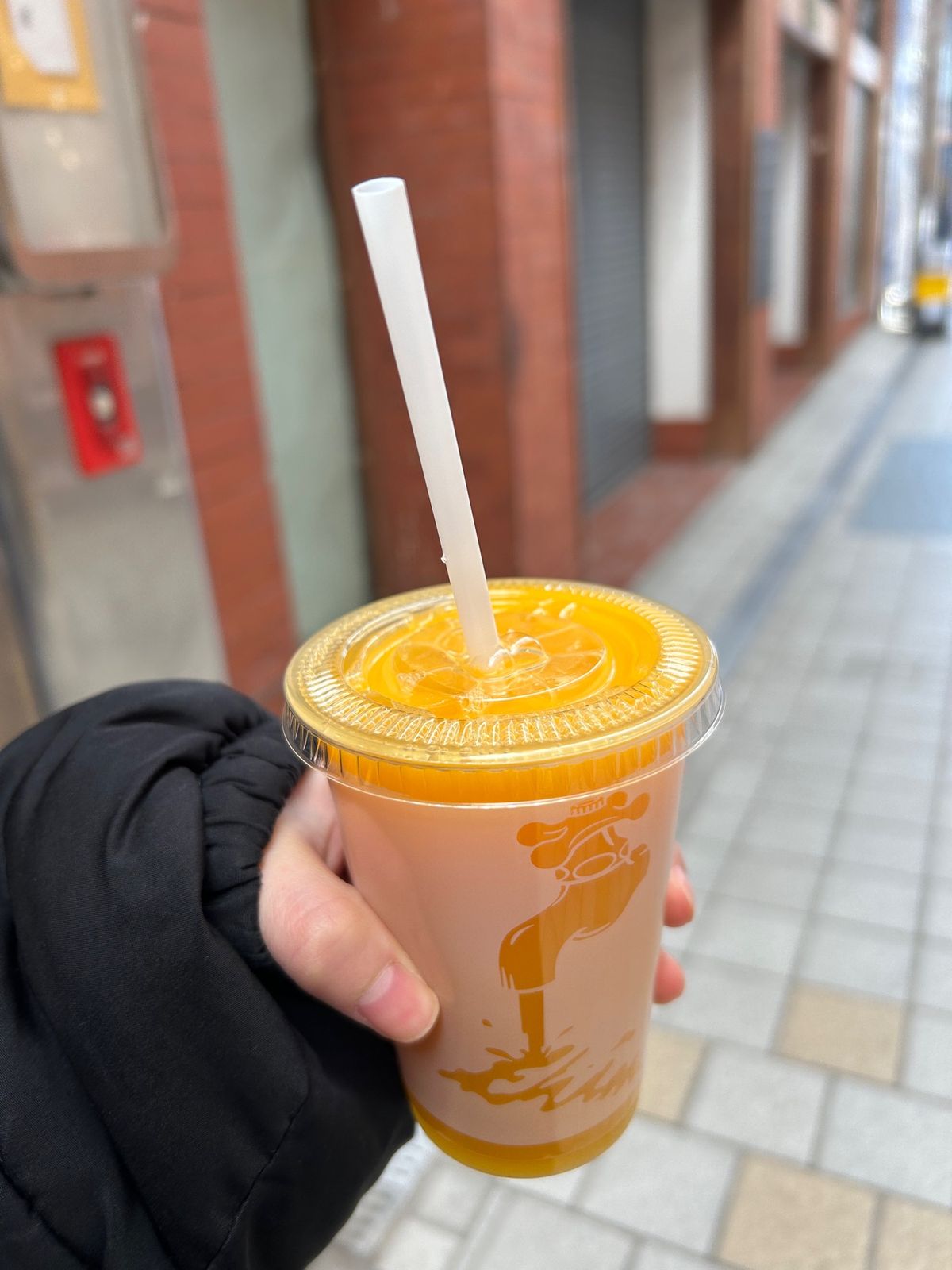 食べたもの 第2弾
蛇口からみかん🍊表面張力発揮しすぎて蓋閉めたら溢れた(...