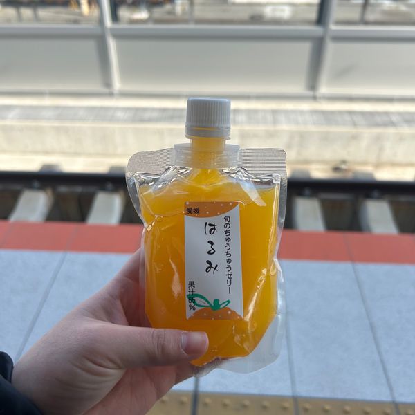 日本・愛媛県「初四国🍊」の写真：帰り道。
お土産に買ったみかんゼリーと坊...