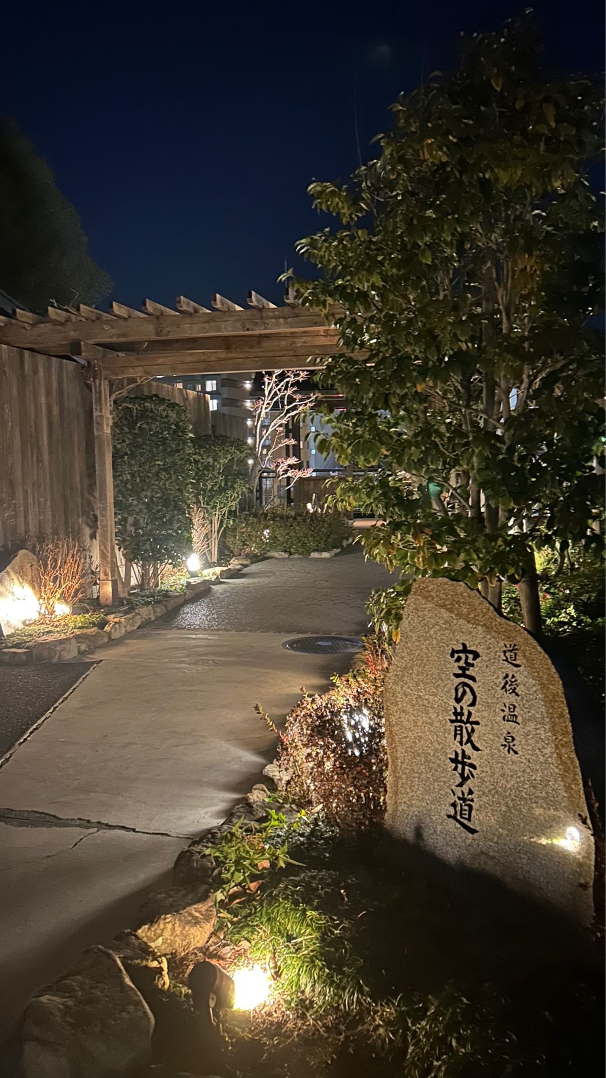 3つの湯めぐりの足湯♨️

温泉づくしだ〜。
本館のお湯の暑さがちょうど良...