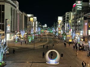 ◾︎姫路駅
駅から姫路城へ続くイルミネーション✨