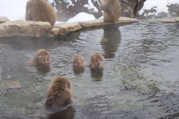 日本・長野県「長野・湯田中温泉」の写真