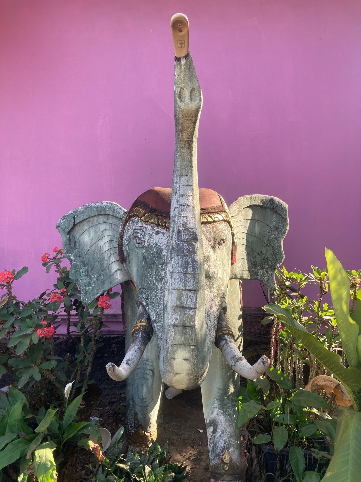 バンケーン到着。とりあえず適当にゲストハウスを選んだが、ずいぶんピンク。そ...