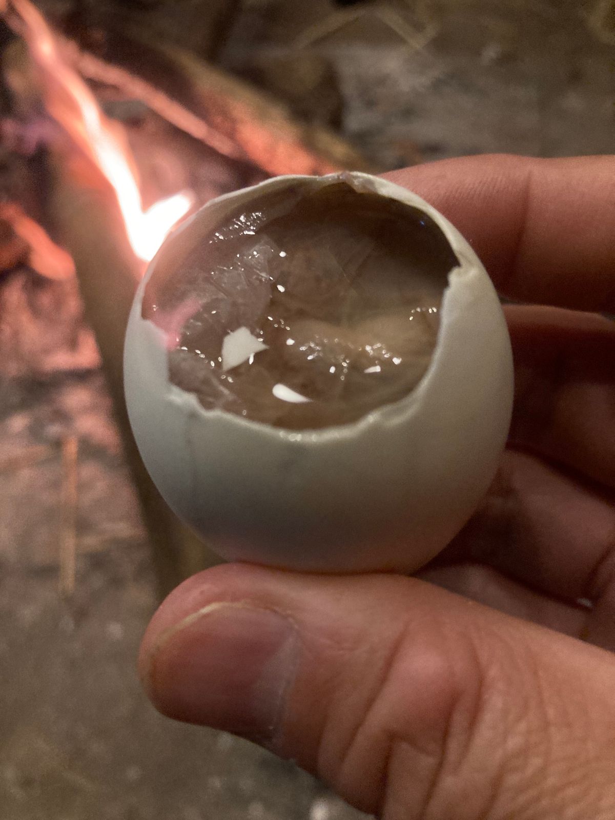 パークソン
何度か行って仲良くなったレストランで経営者家族の年越しの飲み会...