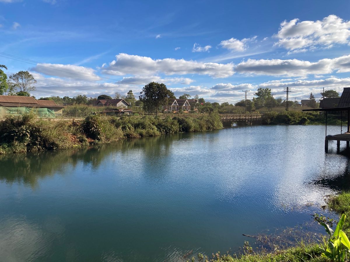 パークソン散策。一部木製の古い橋もあり散歩し甲斐があります。