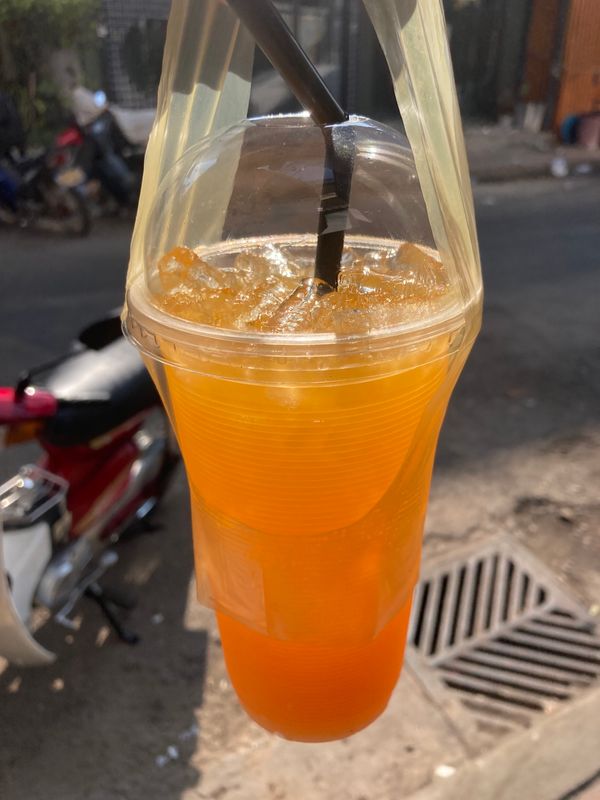 ラオス人民民主共和国・ルアンパバーン「ラオス」の写真：生オレンジジュースやお弁当を買い込み、タ...