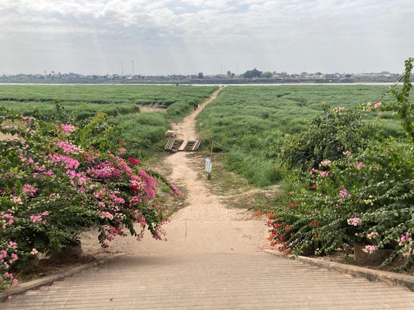 ラオス人民民主共和国・ルアンパバーン「ラオス」の写真：ビエンチャン市内を散歩、前回やっているの...