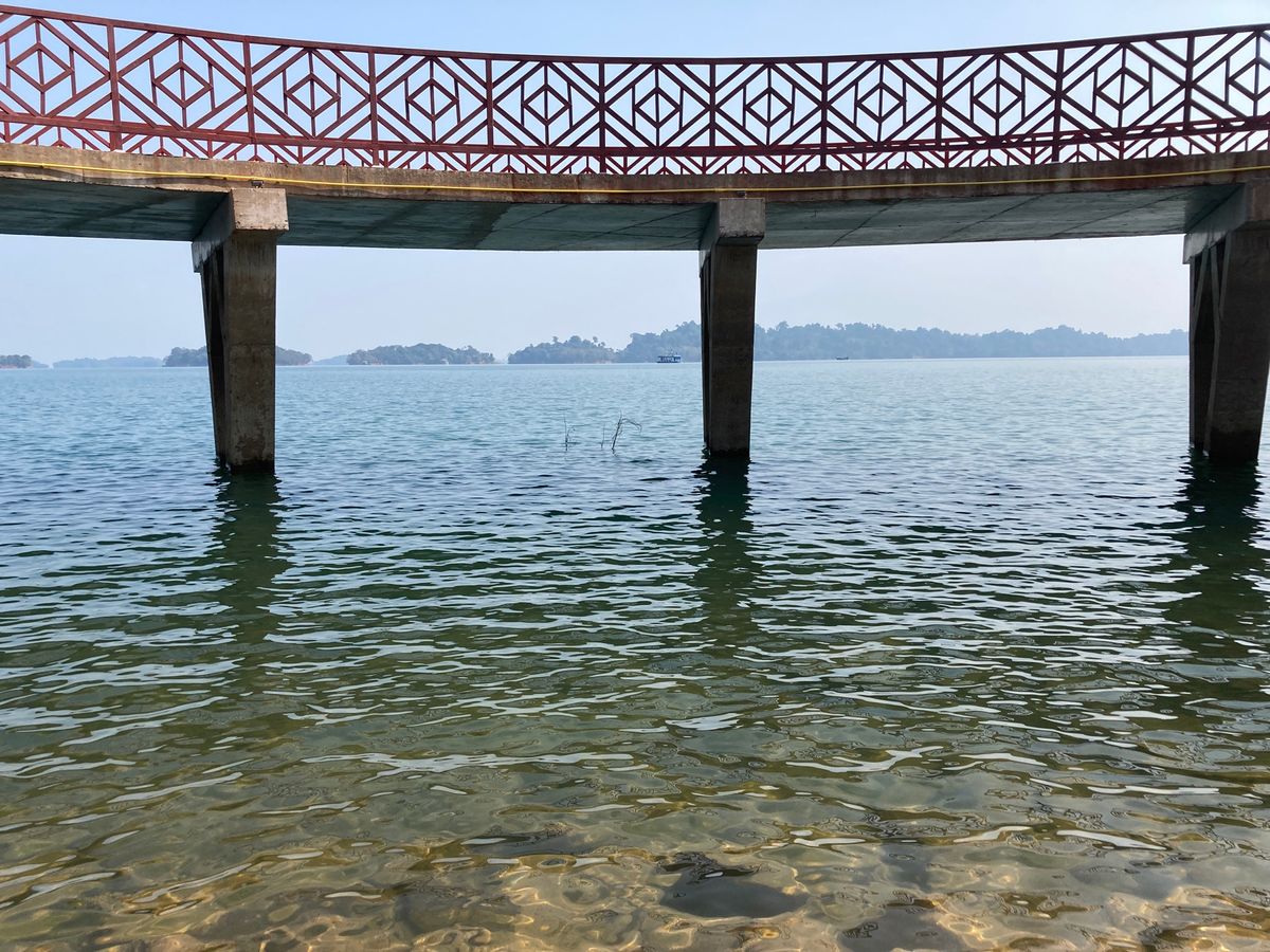 いわゆるベトナム戦争(第二次インドシナ戦争)関係の本を読んでいると日本人が...