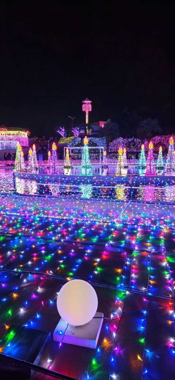 日本・東京都「よみうりランドイルミネーション」の写真