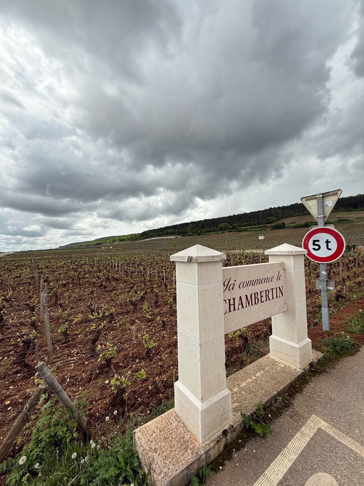 ジュヴレ・シャンベルタン村を抜けて、シャンベルたんの畑へ。

観光客は、、...