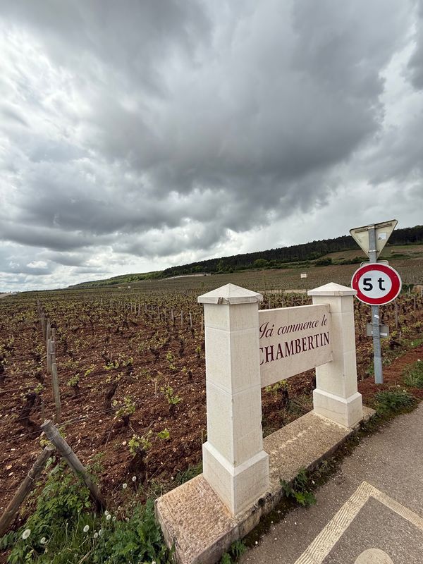 フランス・ブルゴーニュ「ブルゴーニュワイン飲みまくりの旅！！」の写真：ジュヴレ・シャンベルタン村を抜けて、シャ...