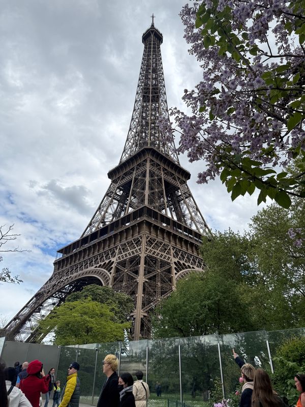 フランス・ブルゴーニュ「ブルゴーニュワイン飲みまくりの旅！！」の写真：エッフェル塔
トロカデロ広場

エッフェ...