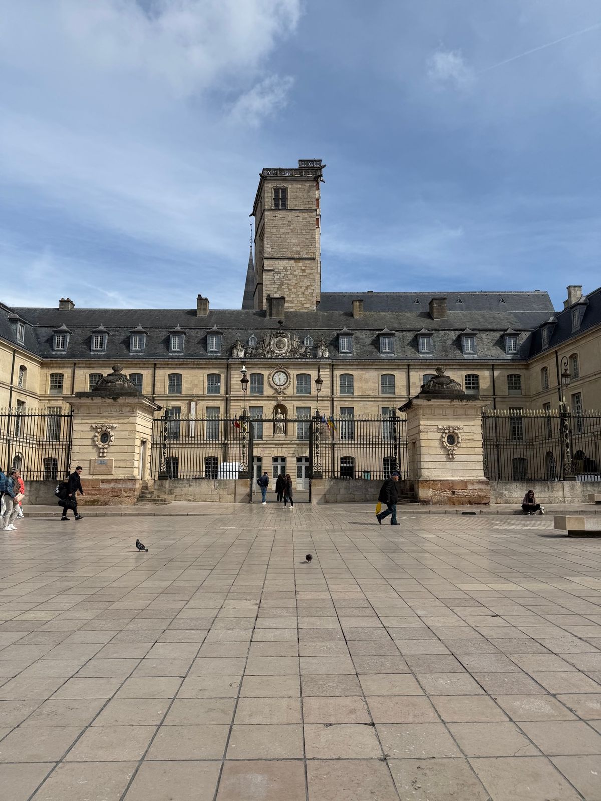 ディジョンの町

ディジョンは旧ブルゴーニュ地域圏の首府。そこそこ大きい町...