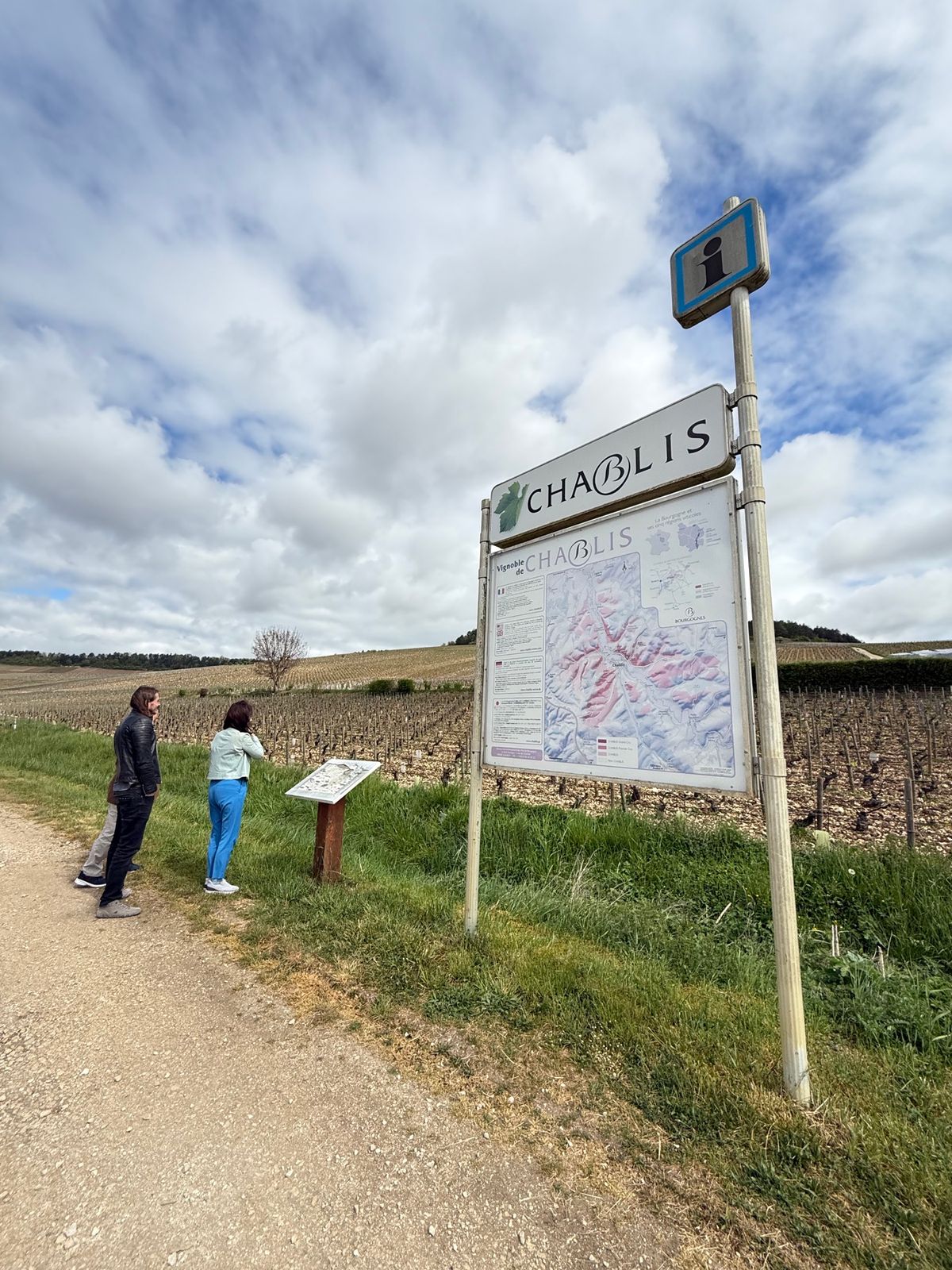シャブリの畑

パリから３時間南下し、ブルゴーニュ最北部にあるシャブリへ。...