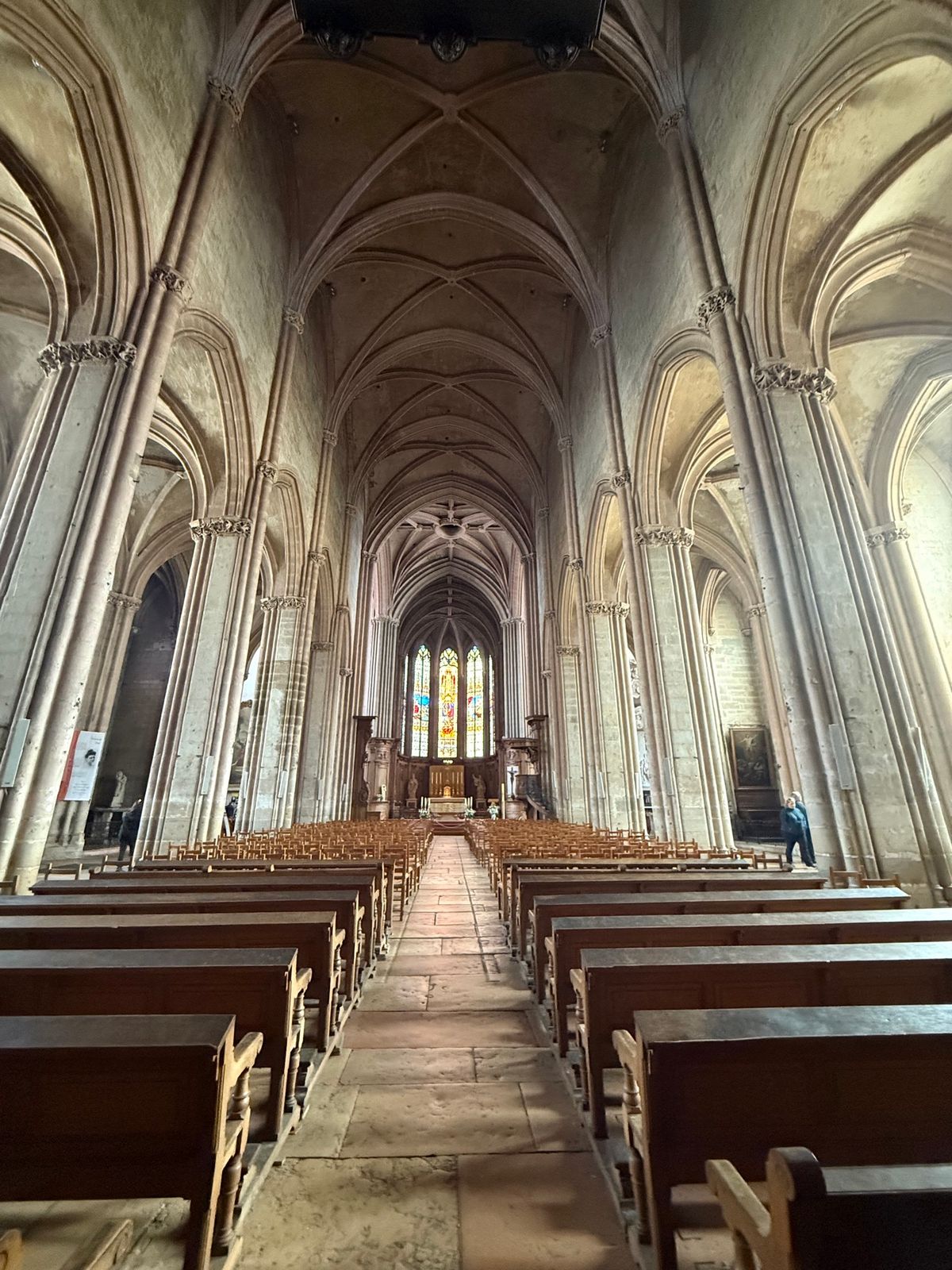 ディジョンの町

ディジョンは旧ブルゴーニュ地域圏の首府。そこそこ大きい町...