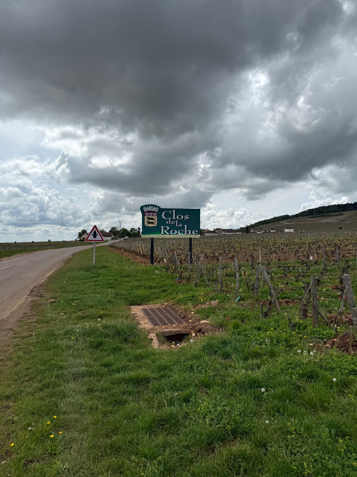 ジュヴレ・シャンベルタン村を抜けて、シャンベルたんの畑へ。

観光客は、、...