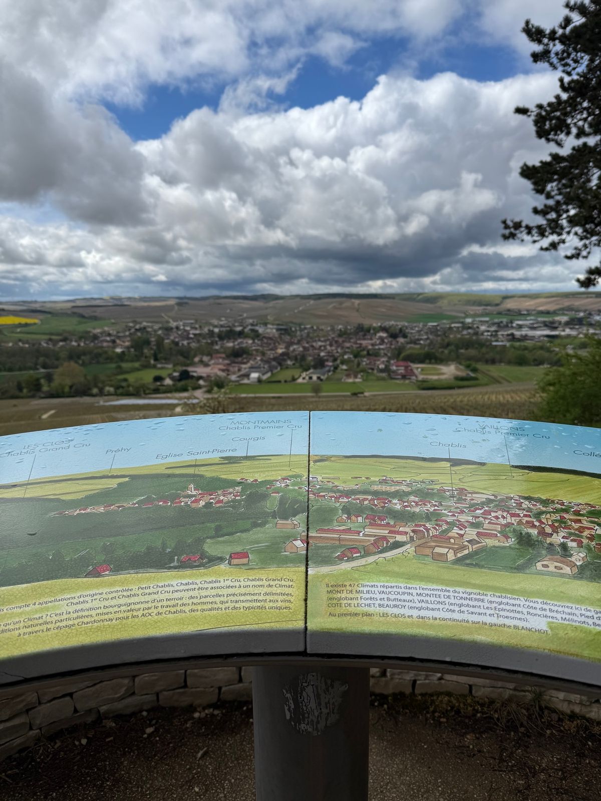 シャブリの畑

パリから３時間南下し、ブルゴーニュ最北部にあるシャブリへ。...