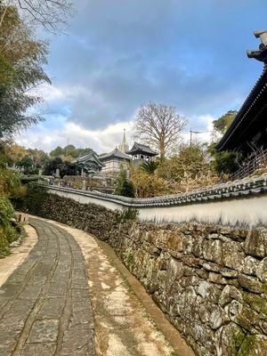 寺院と教会の見える道