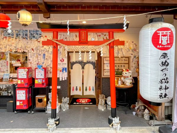 日本・長崎県「Nagasaki」の写真：長崎尾曲がり猫神社