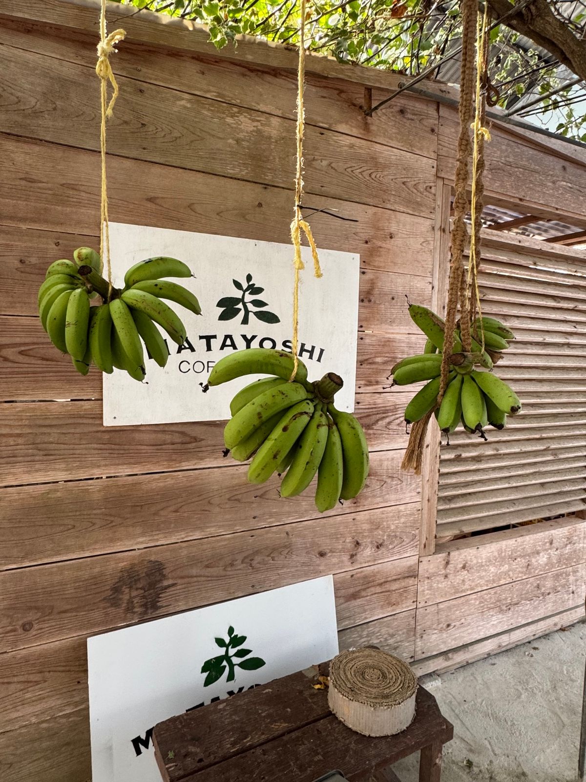 沖縄県　国頭郡
又吉珈琲

コーヒーを栽培していて焙煎した美味しいコーヒー...