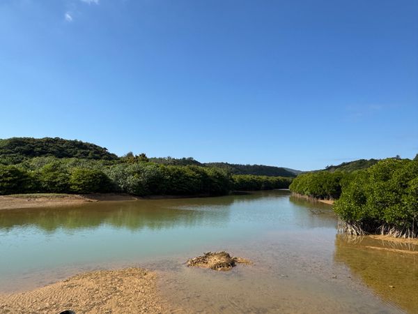日本・沖縄県「年に一度の沖縄旅行2025」の写真：沖縄県　東村
東村ふれあいヒルギ公園

...