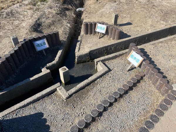 日本・茨城県「2025冬・渡良瀬遊水地にバードウォッチング」の写真：渡良瀬遊水地に行く前にちょっと寄り道。出...