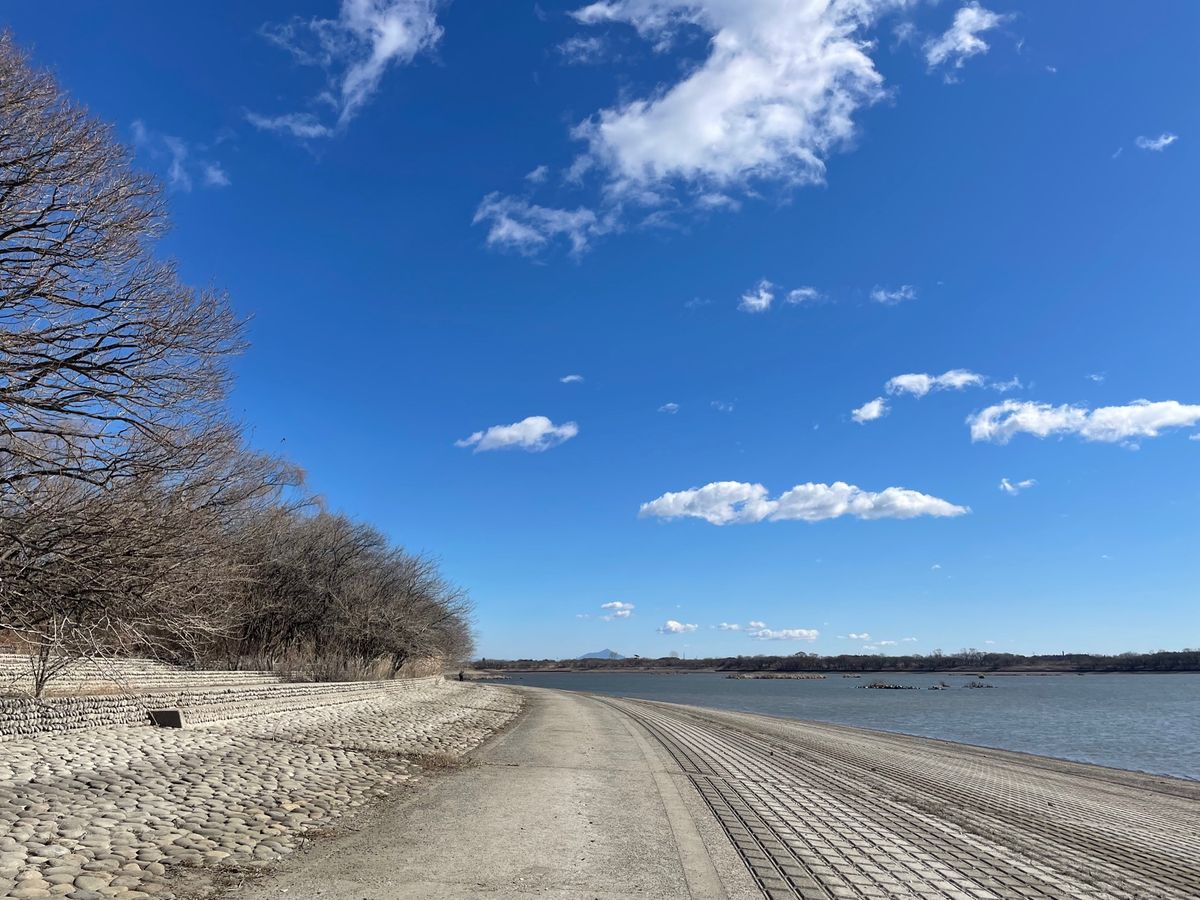 渡良瀬遊水地です。ここでしばしバードウォッチング