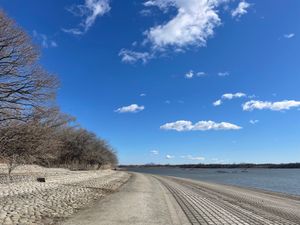 渡良瀬遊水地です。ここでしばしバードウォッチング