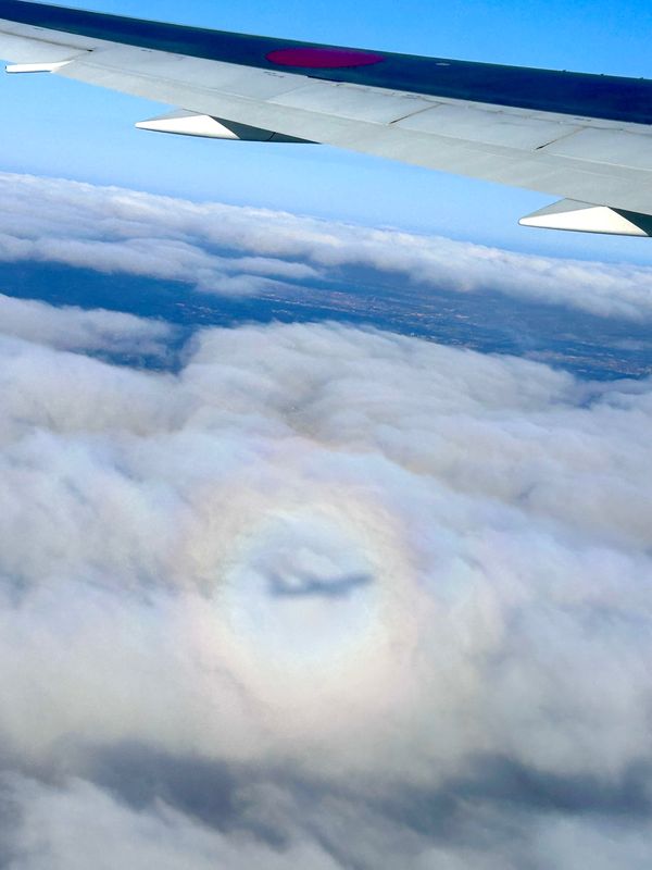 日本・秋田県「初　秋田」の写真