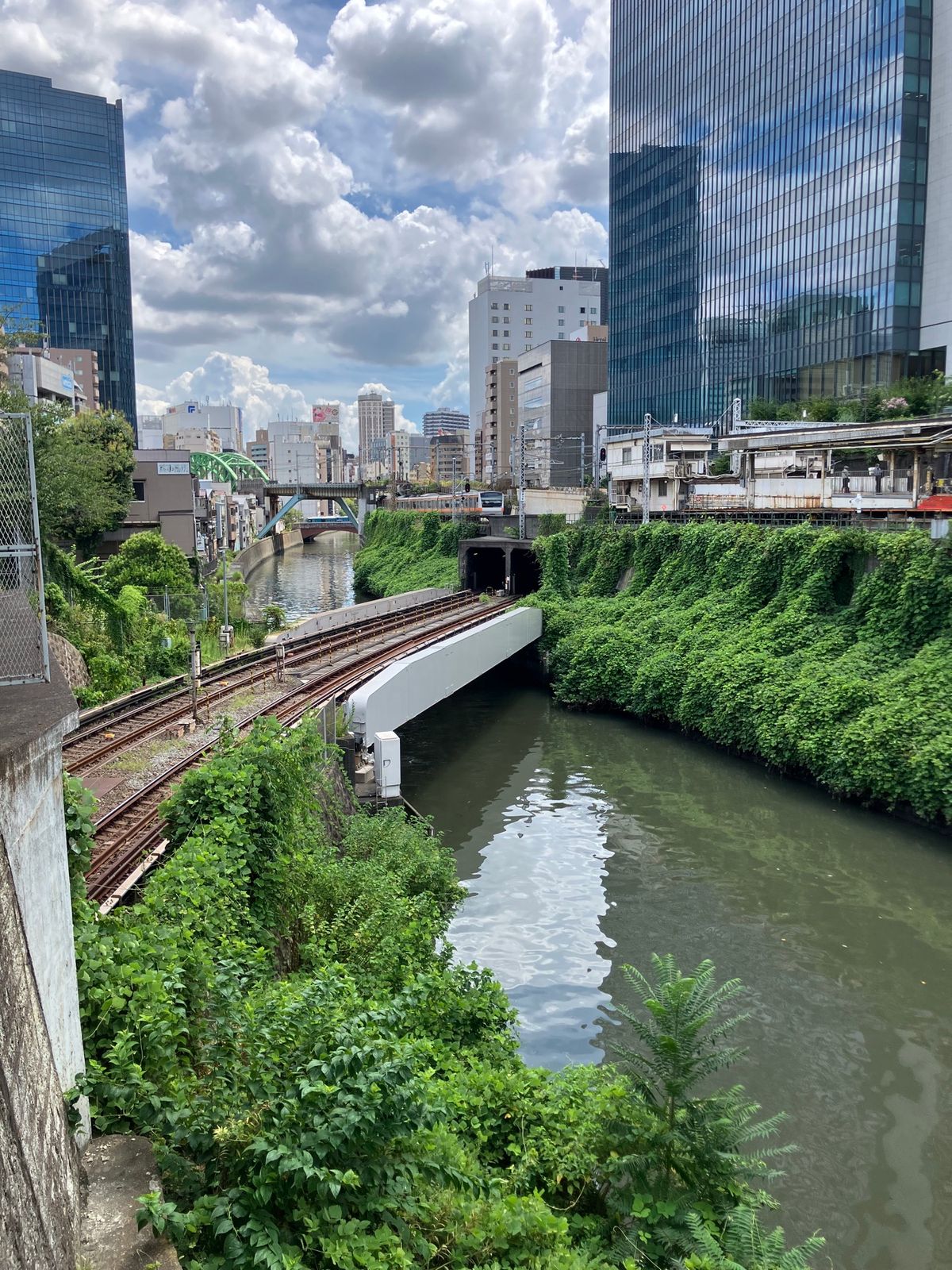 【撮影場所】
東京都 千代田区 聖橋

【住所】
東京都千代田区神田駿河台...