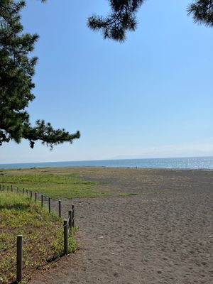 【撮影場所】
静岡県 静岡市 三保松原

【住所】
静岡市清水区三保

【...