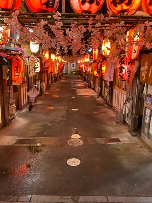 【撮影場所】
静岡県 静岡市 ひよこ（青葉おでん街）

【住所】
静岡県静...