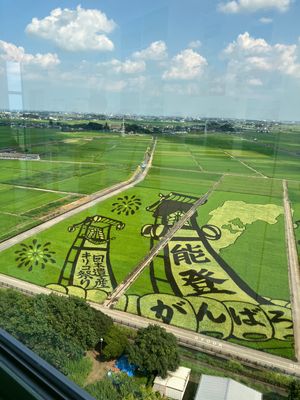 【撮影場所】
埼玉県 行田市 古代蓮の里

【住所】
埼玉県行田市大字小針...